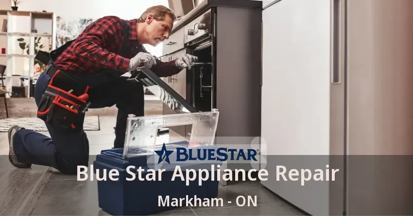 Blue Star Appliance Repair Markham - ON