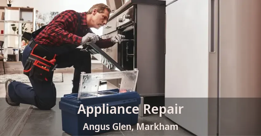Appliance Repair Angus Glen, Markham - ON