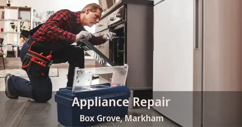 Appliance Repair Box Grove, Markham - ON