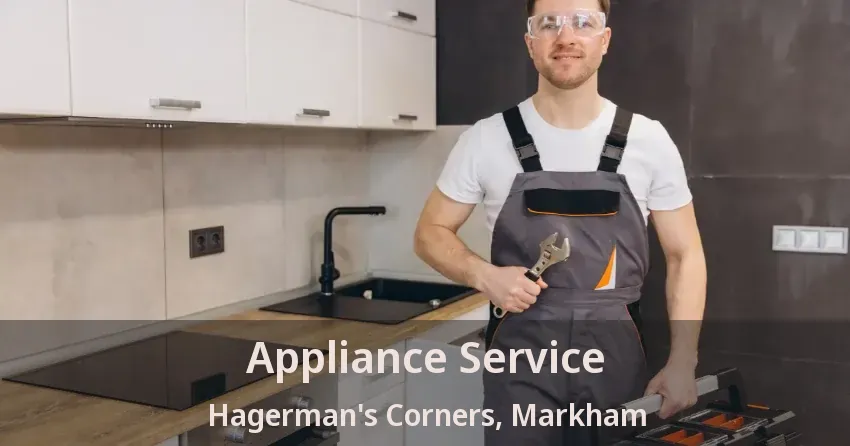 Appliance Service Hagerman's Corners, Markham - ON