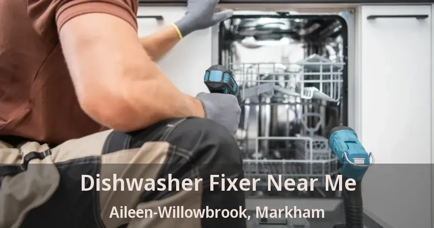 Dishwasher Fixer Near Me Aileen-Willowbrook, Markham - ON