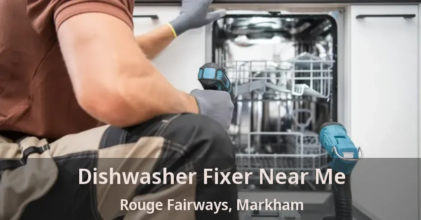 Dishwasher Fixer Near Me Rouge Fairways, Markham - ON