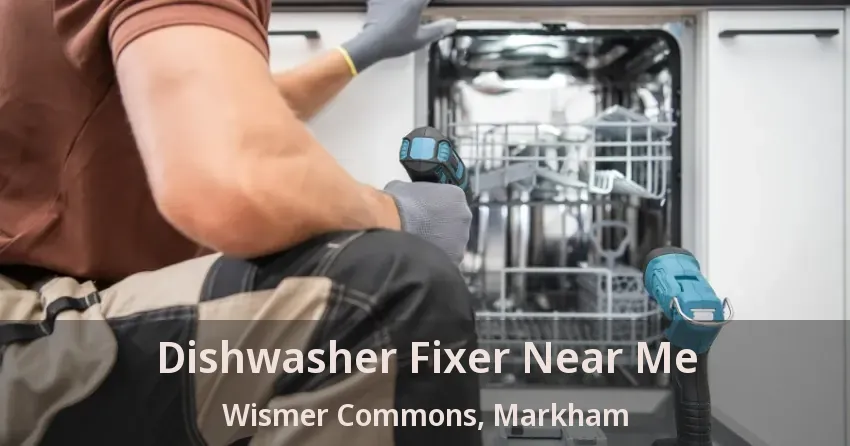 Dishwasher Fixer Near Me Wismer Commons, Markham - ON