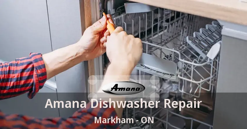 Amana Dishwasher Repair Markham - ON