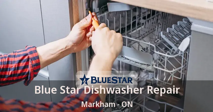 Blue Star Dishwasher Repair Markham - ON