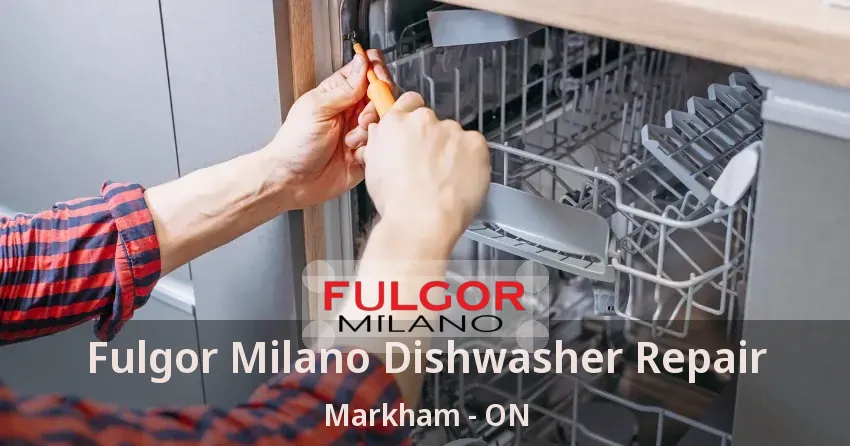 Fulgor Milano Dishwasher Repair Markham - ON
