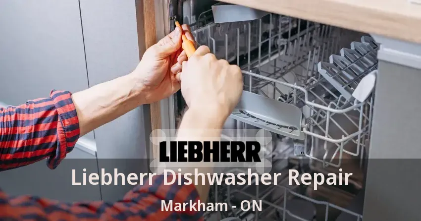 Liebherr Dishwasher Repair Markham - ON
