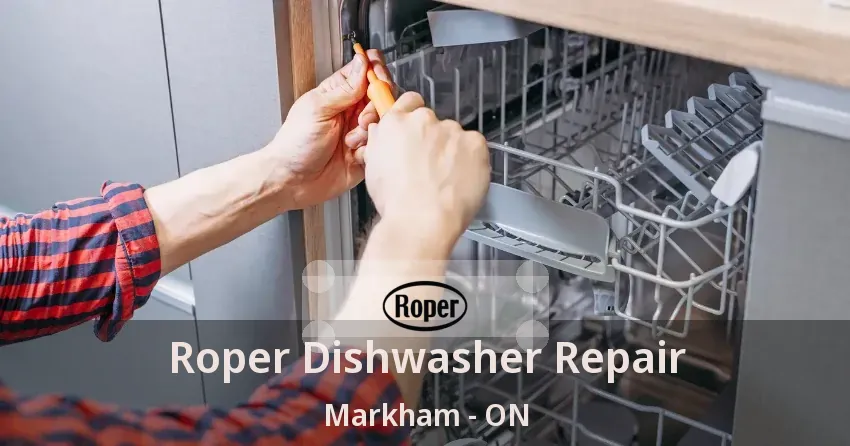 Roper Dishwasher Repair Markham - ON
