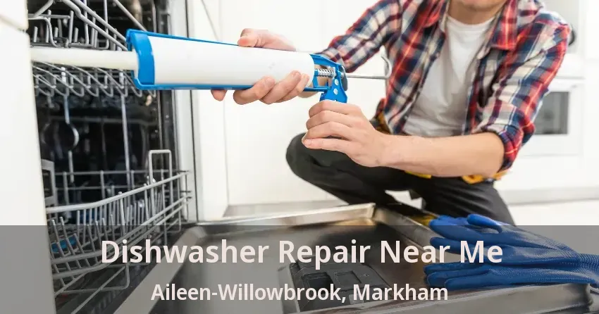 Dishwasher Repair Near Me Aileen-Willowbrook, Markham - ON