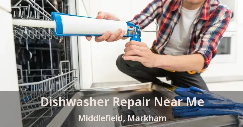 Dishwasher Repair Near Me Middlefield, Markham - ON