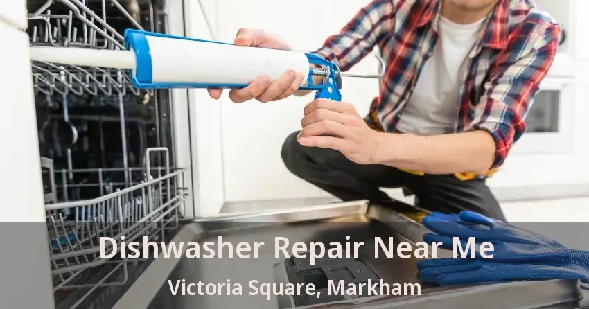 Dishwasher Repair Near Me Victoria Square, Markham - ON