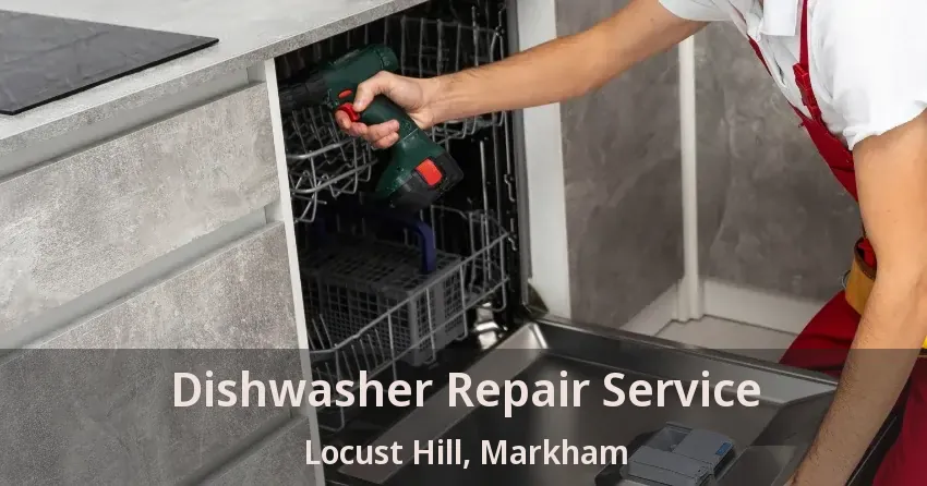 Dishwasher Repair Service Locust Hill, Markham - ON