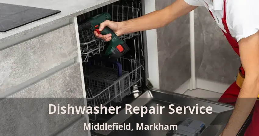 Dishwasher Repair Service Middlefield, Markham - ON