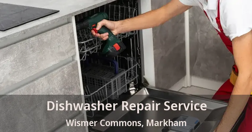 Dishwasher Repair Service Wismer Commons, Markham - ON
