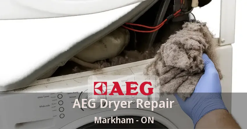 AEG Dryer Repair Markham - ON