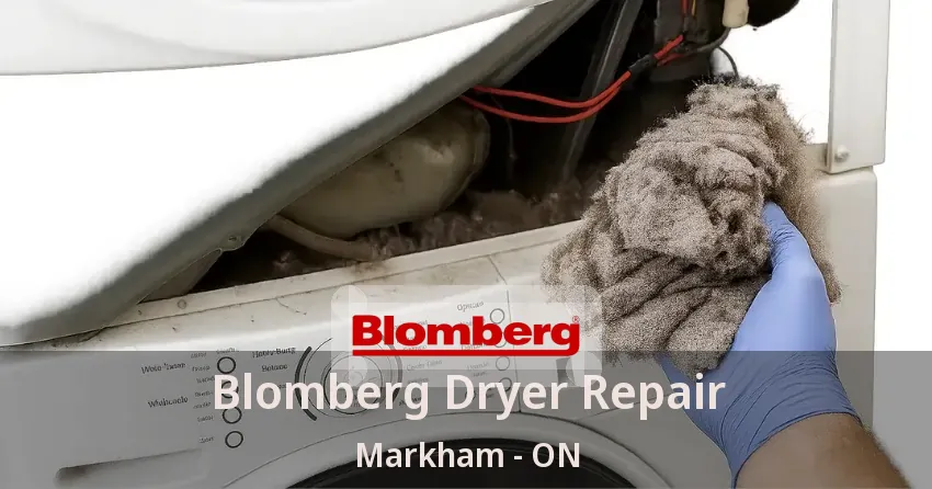 Blomberg Dryer Repair Markham - ON