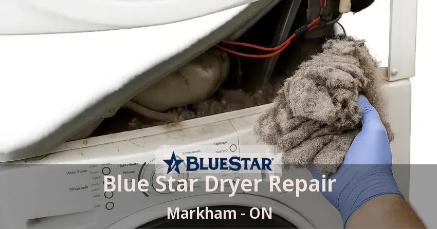 Blue Star Dryer Repair Markham - ON