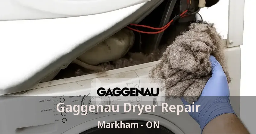 Gaggenau Dryer Repair Markham - ON