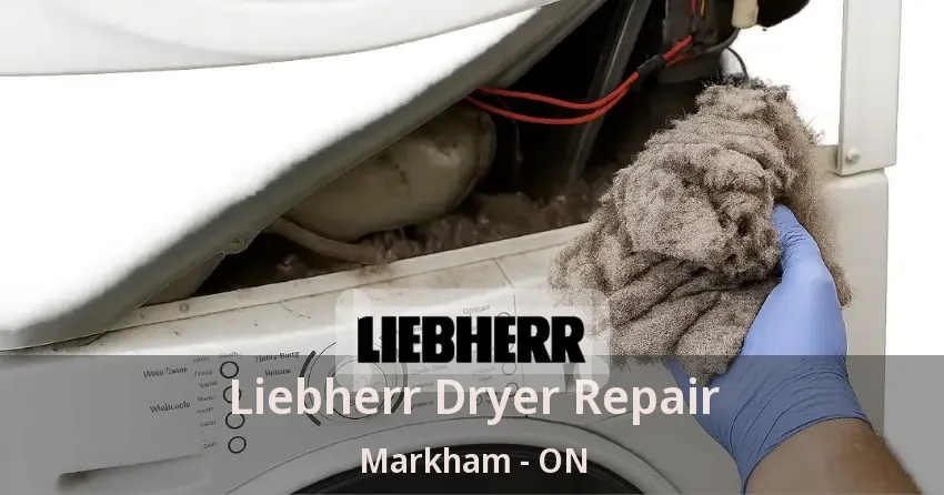 Liebherr Dryer Repair Markham - ON
