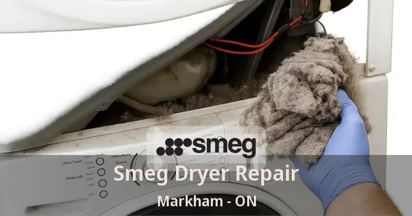 Smeg Dryer Repair Markham - ON