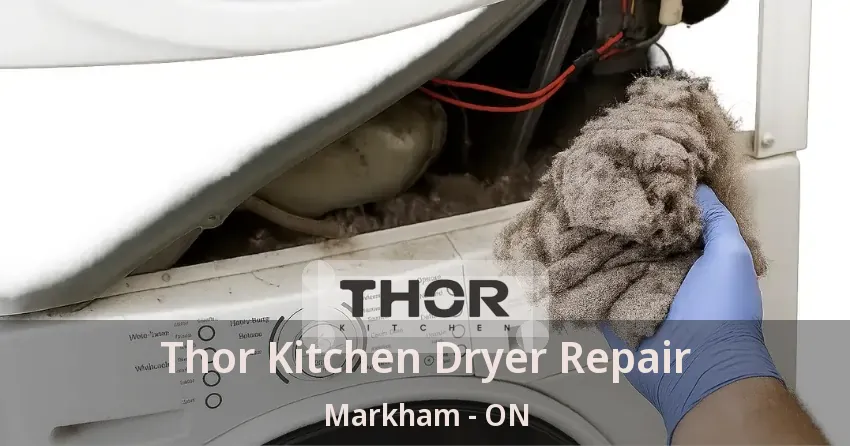 Thor Kitchen Dryer Repair Markham - ON
