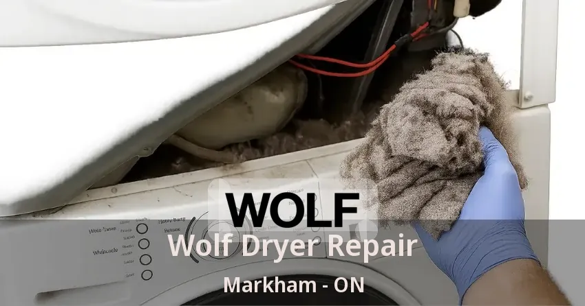 Wolf Dryer Repair Markham - ON