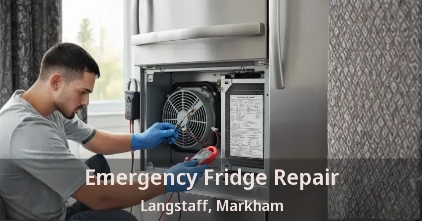Emergency Fridge Repair Langstaff, Markham - ON