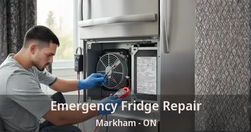 Emergency Fridge Repair Markham - ON