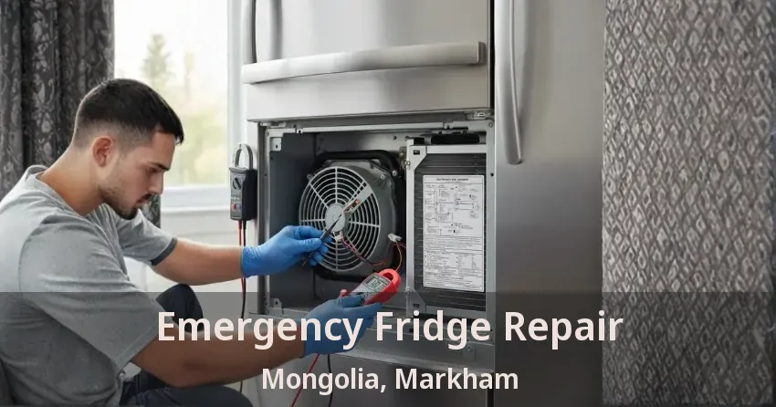 Emergency Fridge Repair Mongolia, Markham - ON