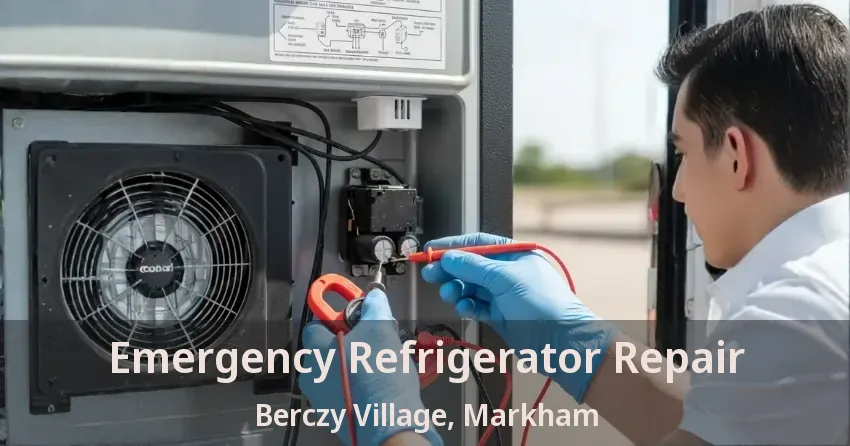 Emergency Refrigerator Repair Berczy Village, Markham - ON