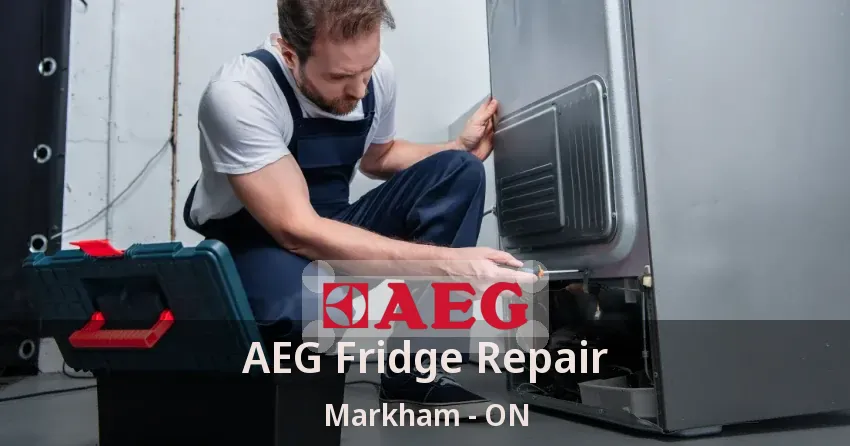 AEG Fridge Repair Markham - ON