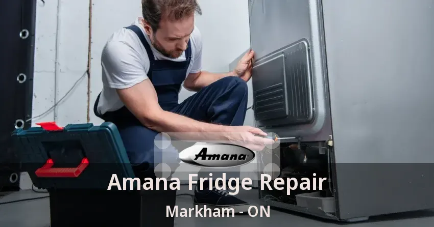 Amana Fridge Repair Markham - ON