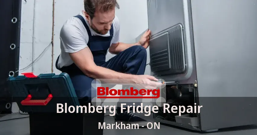 Blomberg Fridge Repair Markham - ON