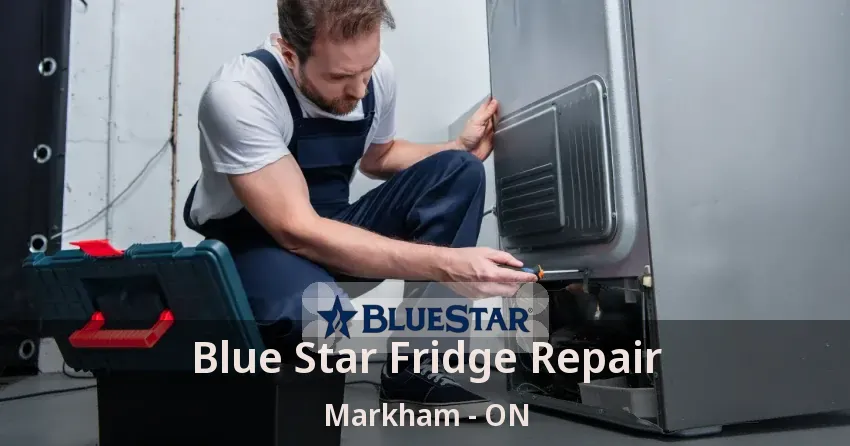 Blue Star Fridge Repair Markham - ON