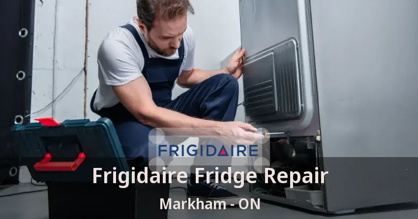 Frigidaire Fridge Repair Markham - ON
