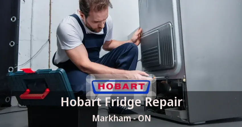Hobart Fridge Repair Markham - ON