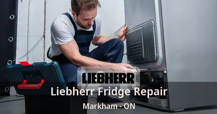 Liebherr Fridge Repair Markham - ON