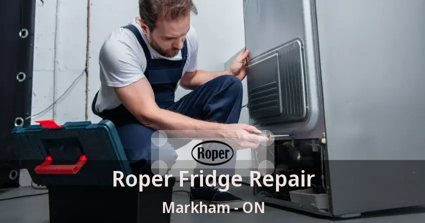 Roper Fridge Repair Markham - ON