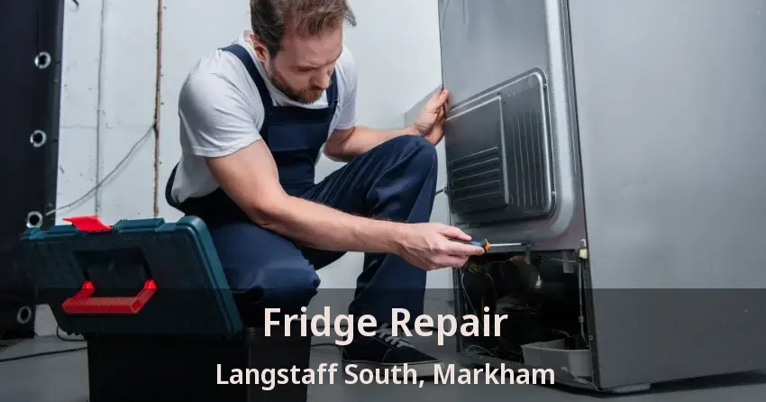 Fridge Repair Langstaff South, Markham - ON