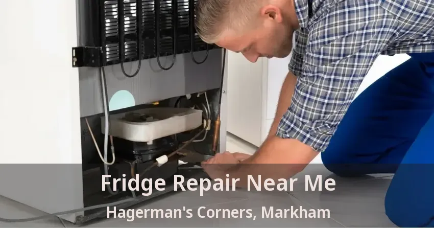 Fridge Repair Near Me Hagerman's Corners, Markham - ON