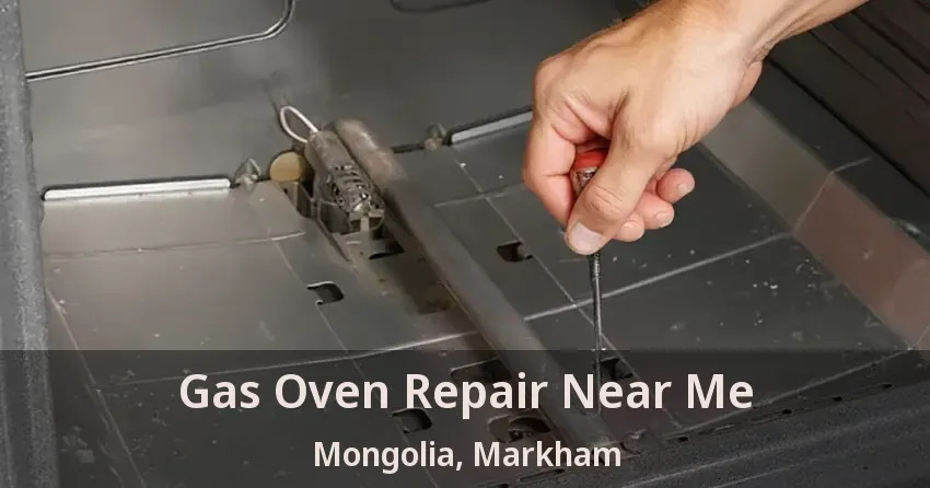 Gas Oven Repair Near Me Mongolia, Markham - ON