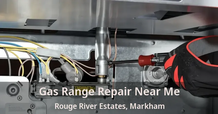 Gas Range Repair Near Me Rouge River Estates, Markham - ON