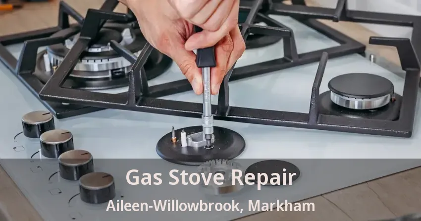 Gas Stove Repair Aileen-Willowbrook, Markham - ON