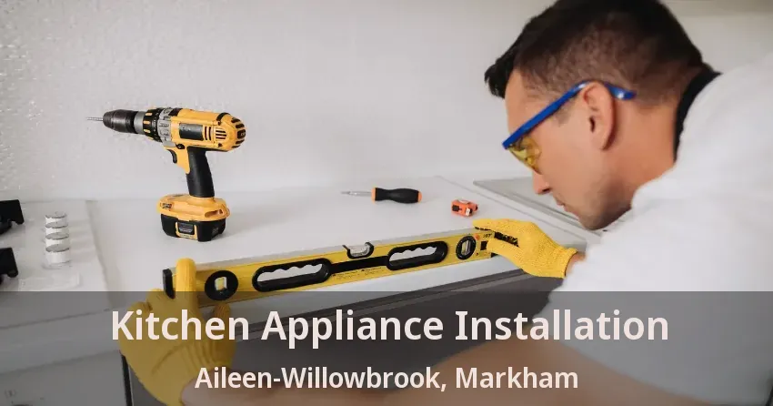 Kitchen Appliance Installation Aileen-Willowbrook, Markham - ON