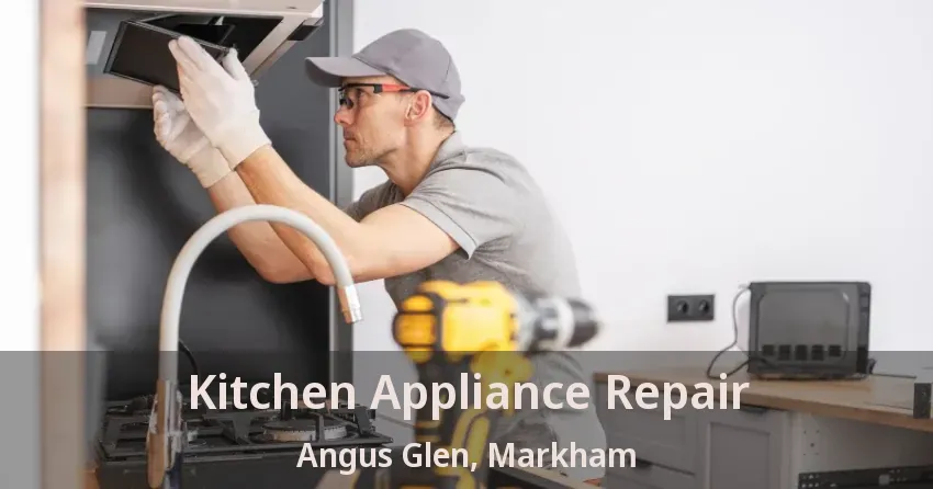 Kitchen Appliance Repair Angus Glen, Markham - ON