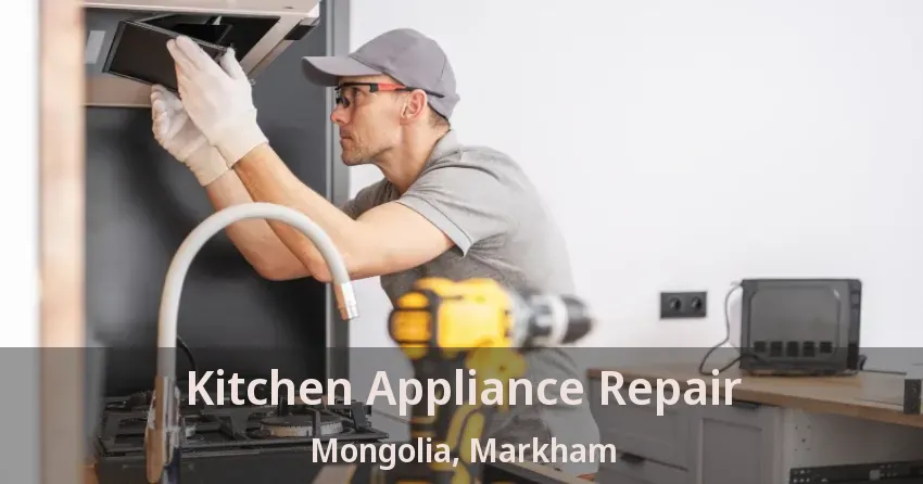Kitchen Appliance Repair Mongolia, Markham - ON
