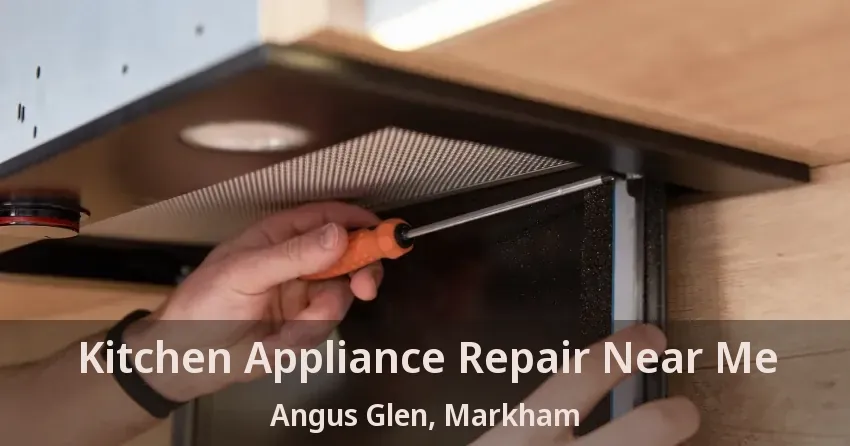 Kitchen Appliance Repair Near Me Angus Glen, Markham - ON