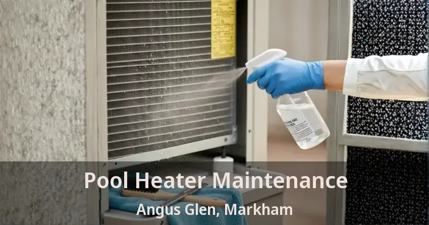 Pool Heater Maintenance Angus Glen, Markham - ON