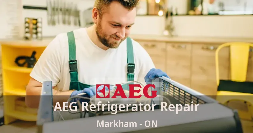 AEG Refrigerator Repair Markham - ON