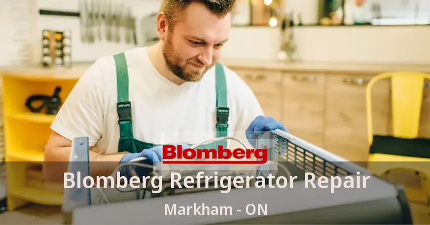 Blomberg Refrigerator Repair Markham - ON